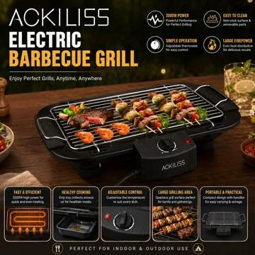 Electric BBQ Grill