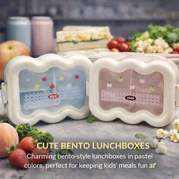 Nice Lunchbox